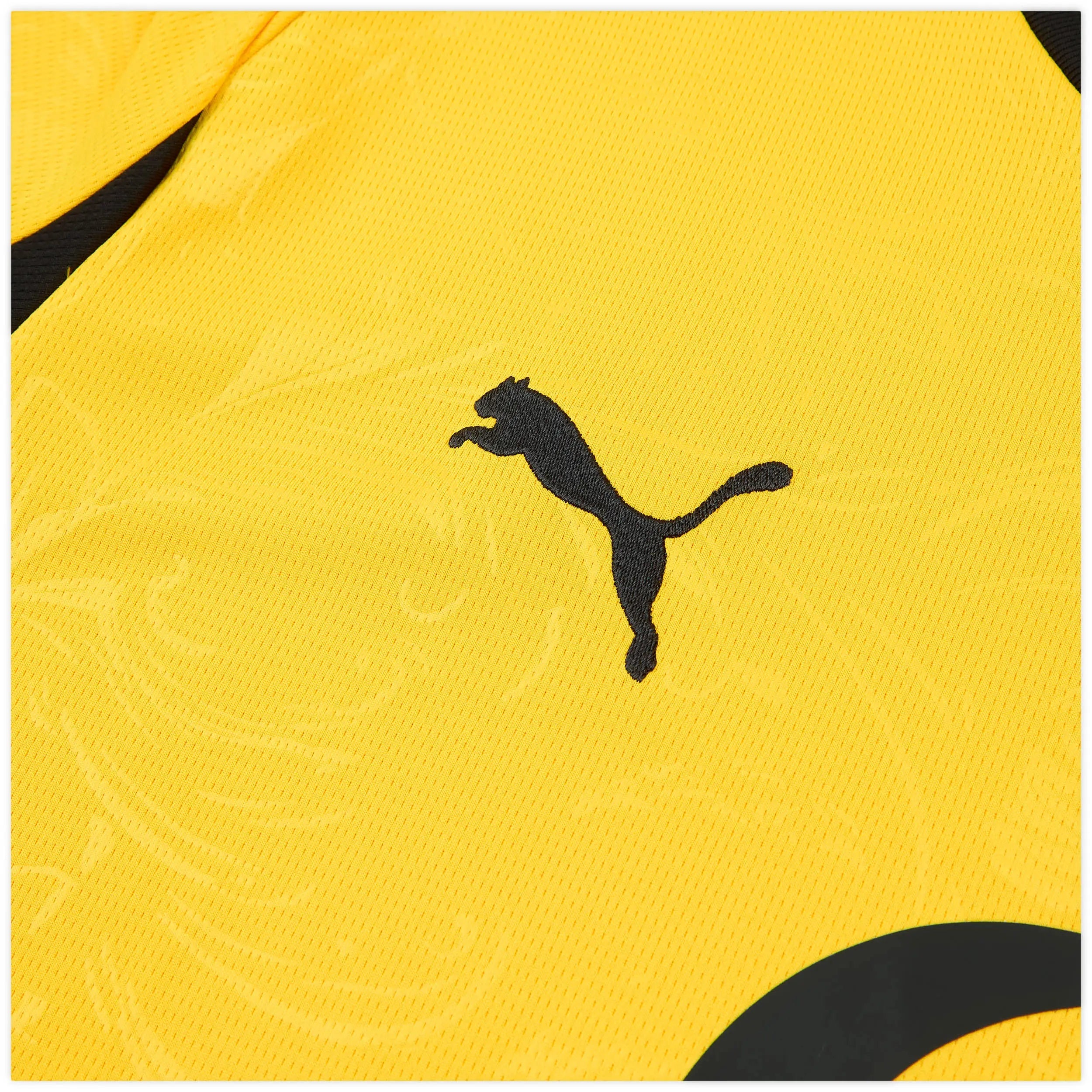 BORUSSIA DORTMUND CUP 2025/26